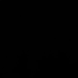 Meet your Posher, Abigail